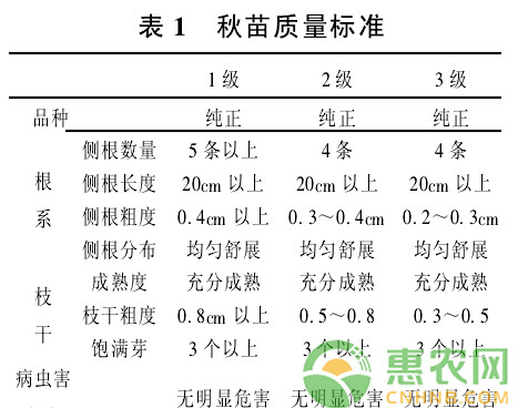 葡萄园如何建园？葡萄园全套建园方案