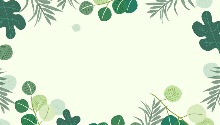 越冬苔菜几月播种 越冬苔菜是几月播种