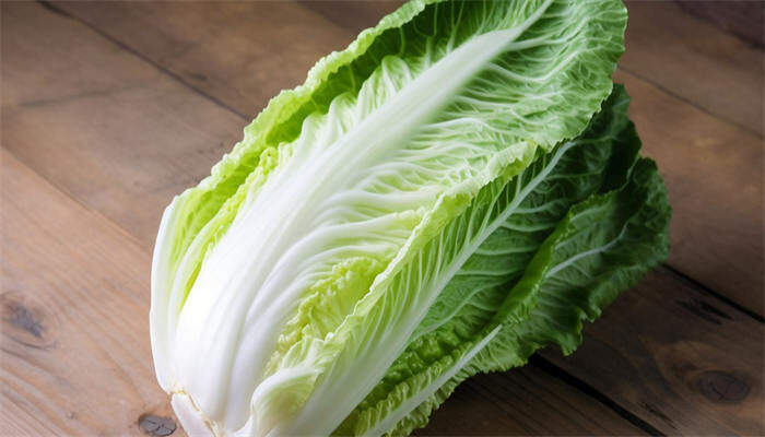 长白菜2.jpg